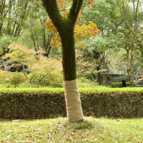 Imag:Jute Roll Natural jute 100% Natural Jute 3.3x16.4 ft