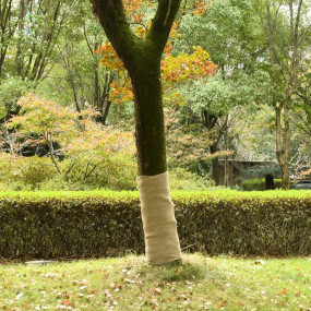 Jute Roll Natural 100% Natural Jute 1 x 32.8 ft Simple
