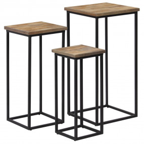 Plant Table Set of 3 Natural Wood and Black