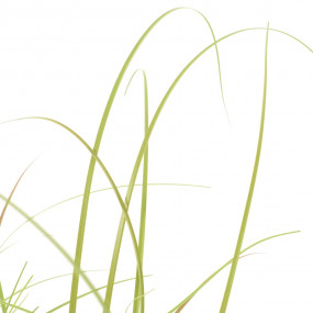 Artificial Plant Green, Brown, Black Plastic Medium