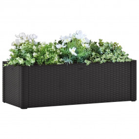 Raised Bed Anthracite Polypropylene 39.4x16.9x13.0 in R...