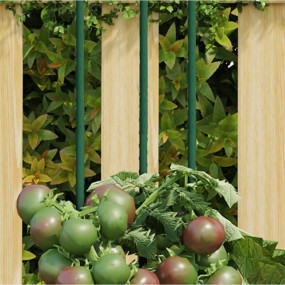 Plant Stake Set of 30 Green Steel with polypropylene co...