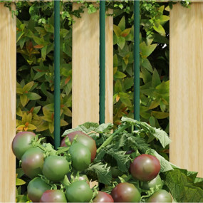 Plant Stake Set of 30 Green Steel with polypropylene co...