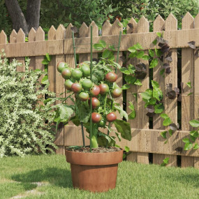 Garden Plant Support Set of 5 Green