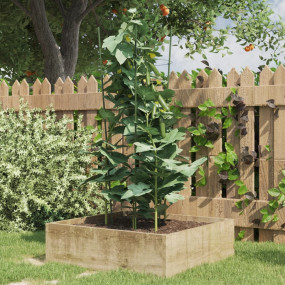 Garden Plant Support Set of 5 Green