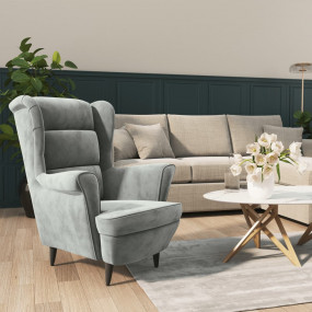 Armchair Light Grey Velvet (100% polyester), plywood Me...