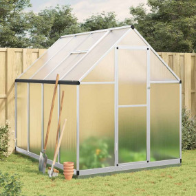 Greenhouse Silver and transparent