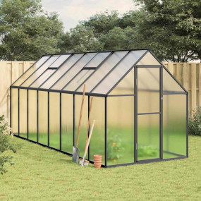 Greenhouse Anthracite and clear Aluminum, polycarbonate...