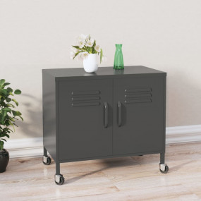 Storage Cabinet Anthracite Steel 23.6 x 13.8 x 22.0 in