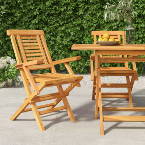 Folding Garden Chair Set of 2 Natural teak Solid teak w...
