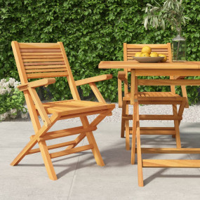 Folding Garden Chair Set of 2 Natural Teak Solid teak w...