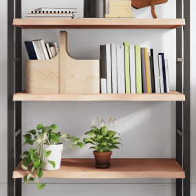 Wall Shelf Medium brown Solid oak (untreated)