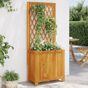 Planter Brown Solid Acacia wood Medium Planters Planter