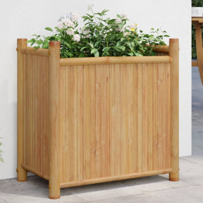 Planter Natural Bamboo Bamboo Medium Decorative Inlays