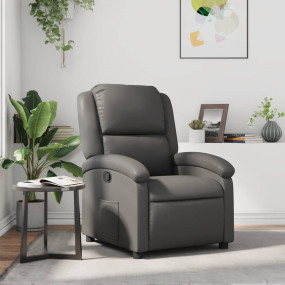 Recliner Chair Gray