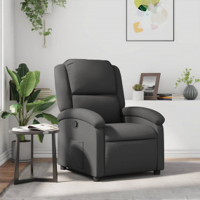 Recliner Chair Grey Real leather, metal, plywood Single