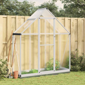 Greenhouse Silver and transparent