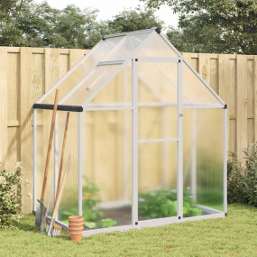 Greenhouse Silver and transparent Aluminum, polycarbona...