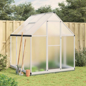 Greenhouse Silver and transparent