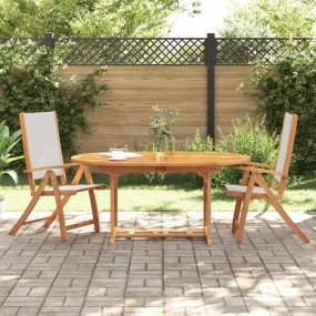 Folding Garden Chair Set of 2 Grey Solid Acacia wood, T...