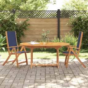 Folding Garden Chair Set of 2 Blue Solid Acacia wood, T...