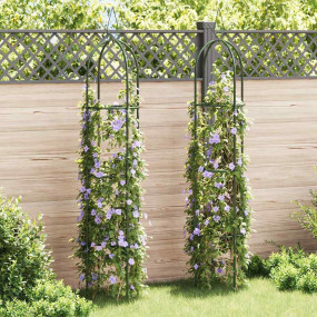 Garden Arch Dark green Iron Standard Decorative Design