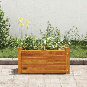 Raised Bed Brown Acacia wood with oil finish Compact Du...