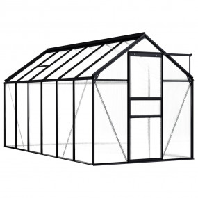 Greenhouse Anthracite and Transparent Aluminum and Poly...