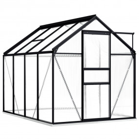 Greenhouse Anthracite and transparent Aluminum and poly...
