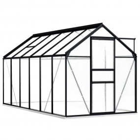 Greenhouse Anthracite and Transparent Aluminum, Polycar...