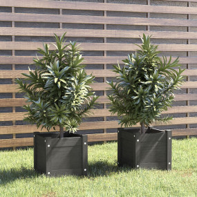Planter Set of 2 Grey Solid Pinewood 12.2 in Planters P...