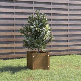 Planter Honey brown Solid pinewood 12.2 in Decorative I...