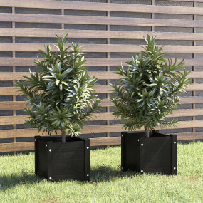 Planter Set of 2 Black Solid pinewood 12.2 in Planters