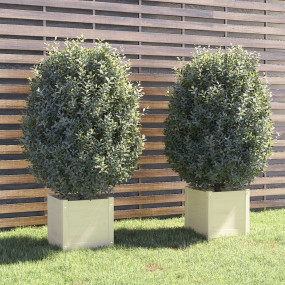 Planter Set of 2 White Solid pinewood Large Durable Pla...