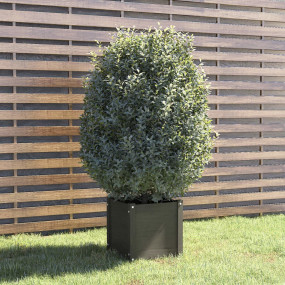 Planter Grey Solid Pinewood Medium Decorative Inlays Pl...