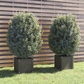 Planter Set of 2 Gray Solid Pinewood Medium Durable Pla...