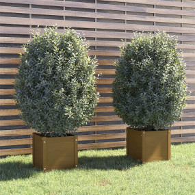 Planter Set of 2 Honey Brown Solid Pinewood Standard Pl...
