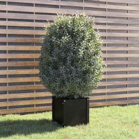 Planter Black Solid pinewood 15.7 in x 15.7 in x 15.7 i...