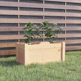 Garden Planter Natural Wood Solid pinewood Medium