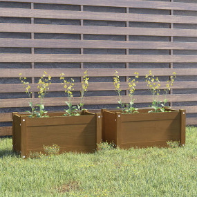 Garden Planter Set of 2 Honey brown Solid Pinewood