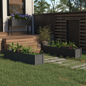 Raised Bed Set of 2 Gray Solid pinewood Large Durable P...