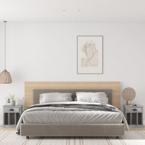 Bedside Cabinet Set of 2 Concrete grey Engineered wood ...