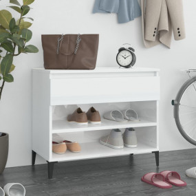 Shoe Cabinet High Gloss White Engineered Wood, Metal