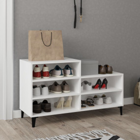 Shoe Cabinet White Engineered wood, Metal Compact Shoe ...