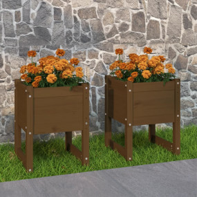 Planter Set of 2 Honey brown Solid pine wood Medium