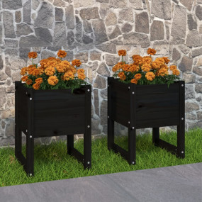 Planter Set of 2 Black Solid pine wood Medium Durable P...