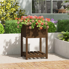 Planter Honey brown Solid pine wood Medium Wooden Plant...