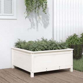 Garden Planter White Solid pine wood Medium Planters
