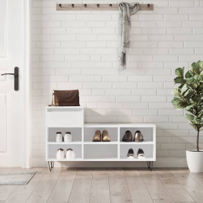 Shoe Cabinet Glossy White Engineered Wood, Metal Medium