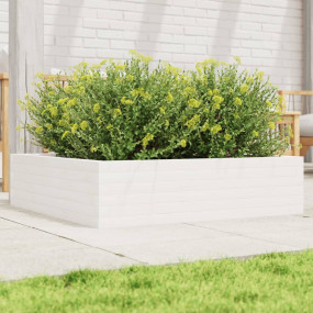 Garden Planter White Solid Pinewood 35.4 x 35.4 x 9.1 i...